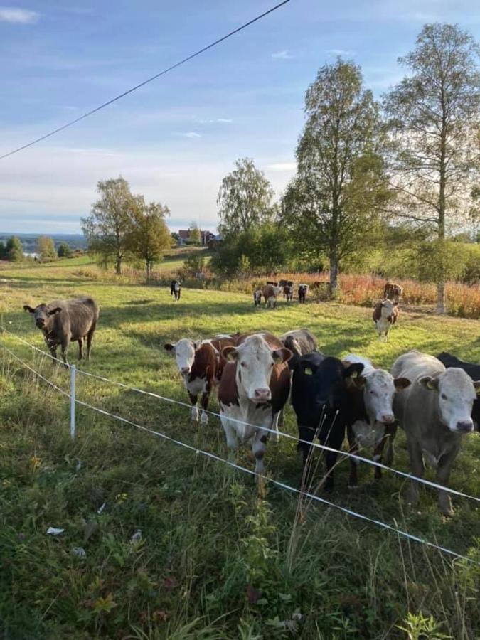 Grindstugan Pa Fyras Gard Hammerdal Esterno foto
