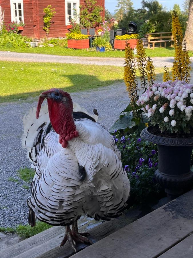 Grindstugan Pa Fyras Gard Hammerdal Esterno foto